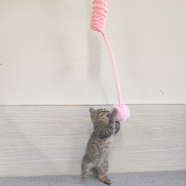 Cat Toy Self-Hi Sucker Spring Rabbit Hair Ball Interactive Play Pet Supplies Interactive Toys - Image 2